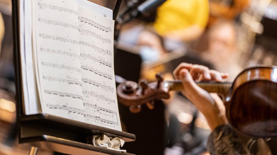 Le Basque National Orchestra met au concours un poste de chef de pupitre et deux d'alto tutti