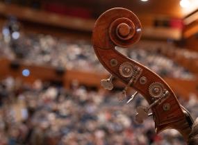 Principal Double bass
